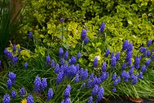 DSC_0277.webp