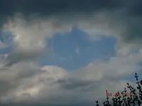 262.webp