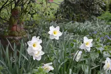 DSC_0256.webp