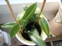 DSCF2142.webp