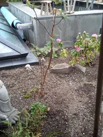 H110403 (1).webp