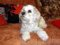 SDC13233.webp