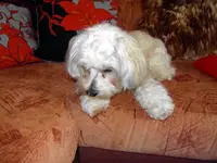 SDC13234.webp
