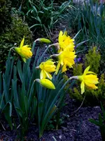 SDC13255.webp