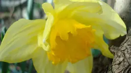 2011 04 03 024.webp
