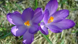 2011 04 03 025.webp