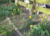 Beet_Terrasse.webp