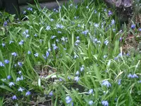 PIC00211.webp
