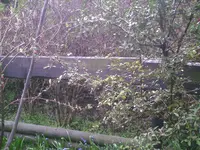 PIC00214.webp