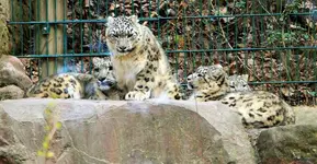 IMG_3238 V.webp