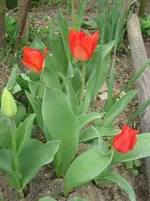 IMG_4270.webp
