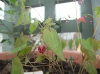 DSCF2585.webp