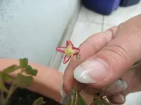 DSCF2588.webp