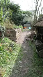 002.webp