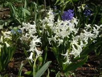 003.webp