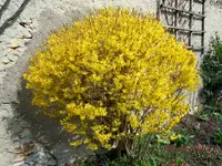 006_3.webp