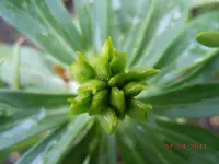 006_2.webp