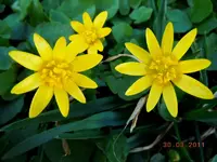 065.webp