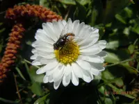 091.webp