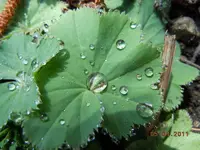 033.webp