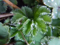 034.webp
