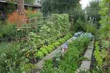 2009 (4) (Kopie).webp
