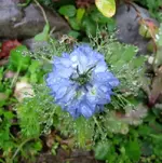 IMG_2035v.webp