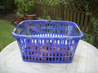 2010_08_28_Kartoffel_005.webp