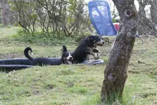 Entlebucher-Garten 106.webp