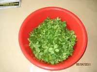Letzter Feldsalat.webp