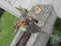 DSCN8963.webp