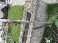 DSCN8964.webp