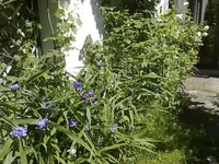 16062010078.webp