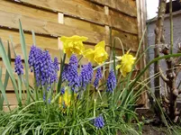 2011 04 06 010.webp