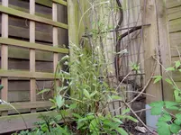 2011 04 06 016.webp
