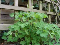 2011 04 06 018.webp