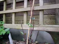2011 04 06 019.webp