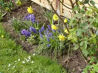 2011 04 06 024.webp