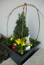 DSCF7986.webp