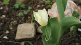 DSC05018.webp