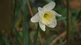 DSC05016.webp
