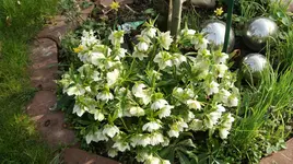 DSC05020.webp