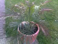 06042011080.webp