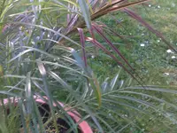 06042011081.webp