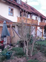 DSC00926.webp