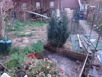 DSC00928.webp