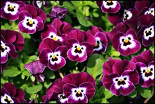 IMG_9873.webp