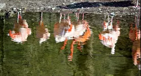 IMG_3182 V.webp