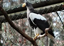 IMG_3249 V.webp