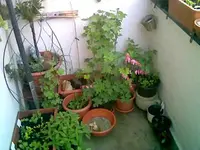 Balkon rechts.webp